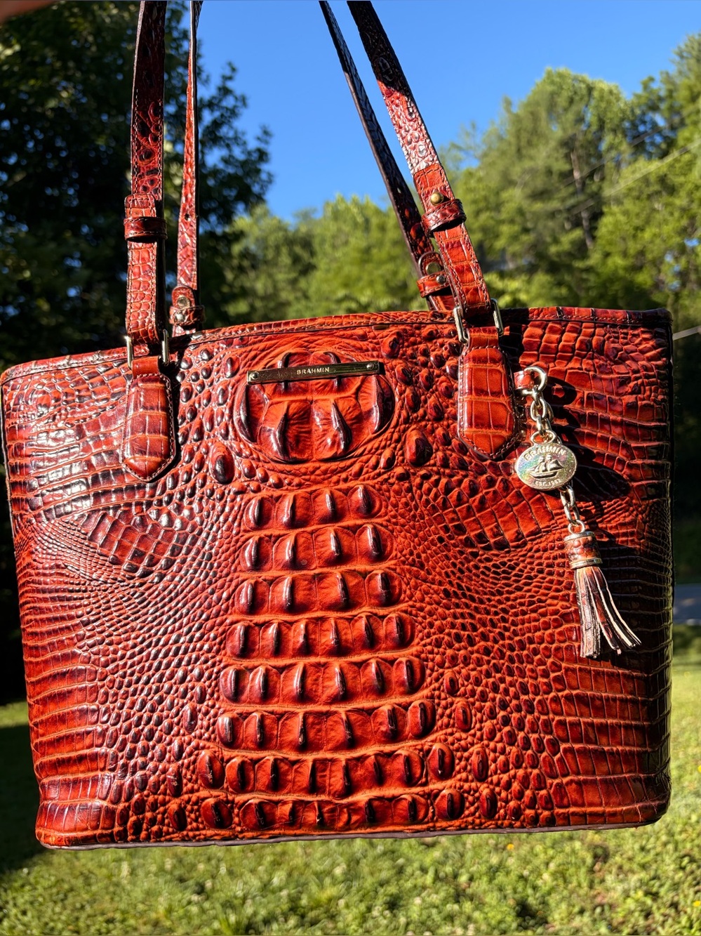 Brahmin Pecan Asher
Croc-Embossed Leather Tote Bag - Picture 3 of 11